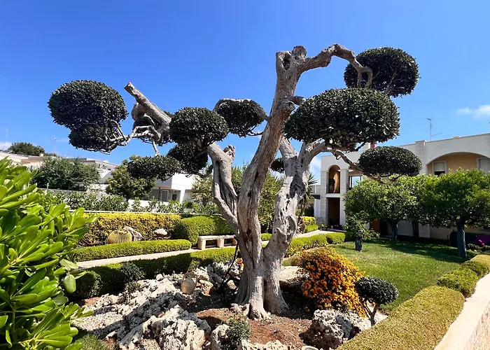 B&B La Rosa Blu Bari